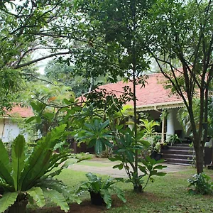 No.53 , Katunayaka Sri Lanka